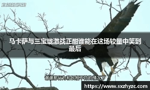 星空体育